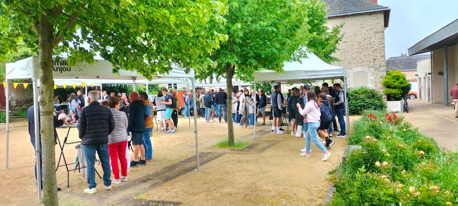 d86e99da-8f88-42b4-9599-765c8d8e371b